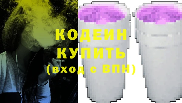 СК Няндома