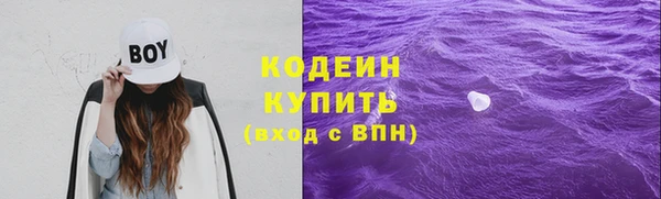 СК Няндома