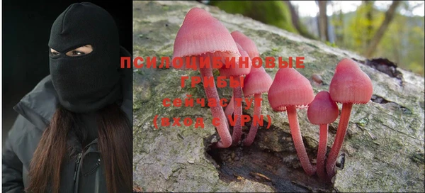 марихуана Новозыбков