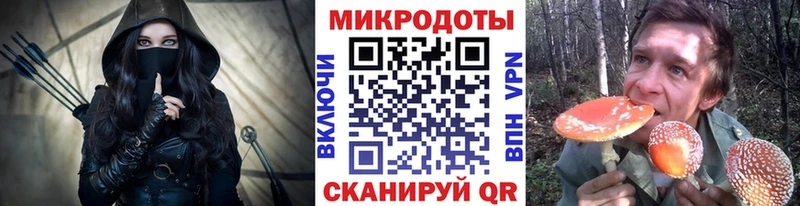 Псилоцибиновые грибы Psilocybine cubensis Алзамай